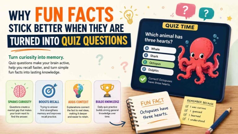 Why Fun Facts Stick Better When They Are Turned Into Quiz Questions